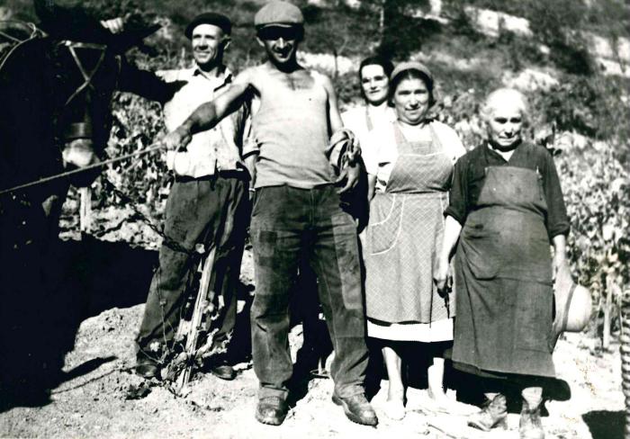 [Vendanges à la Croix sur Roudoule]