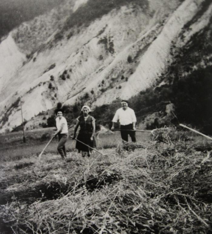[Fenaison avec Maryse Don, Jules et Thérèse Albran aux Bouresses à Saint-Léger, vers 1960.]