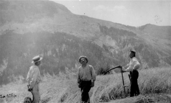 [Famille Lance faisant la moisson, 26 juillet 1917, hameau des Laves, Barels.]
