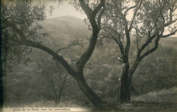 10 UTELLE - Vue de la Madone des Miracles prise de la Pieta sous les amandiers